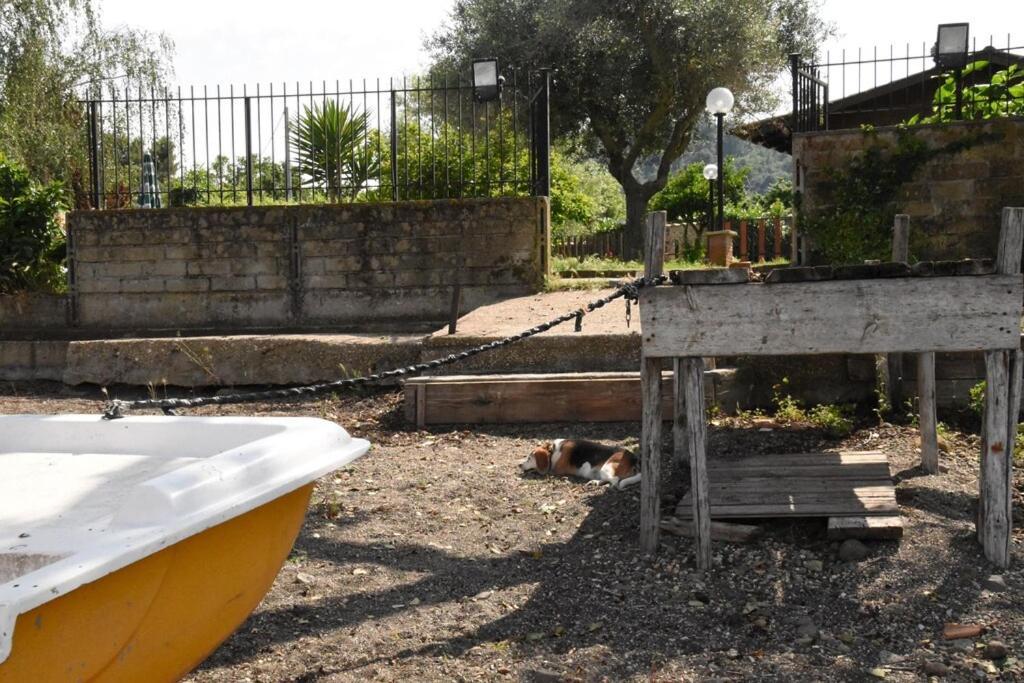 Independent Villa With Private Beach On The Lake Bracciano  Extérieur photo