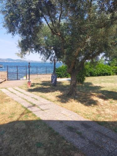 Independent Villa With Private Beach On The Lake Bracciano  Extérieur photo