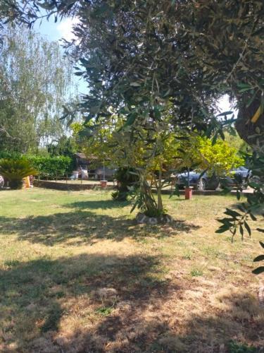 Independent Villa With Private Beach On The Lake Bracciano  Extérieur photo