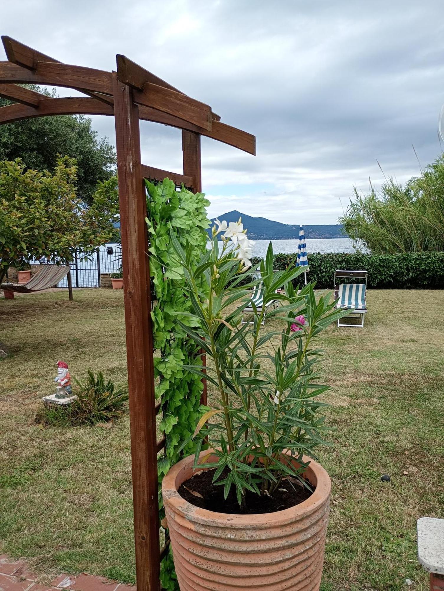 Independent Villa With Private Beach On The Lake Bracciano  Extérieur photo